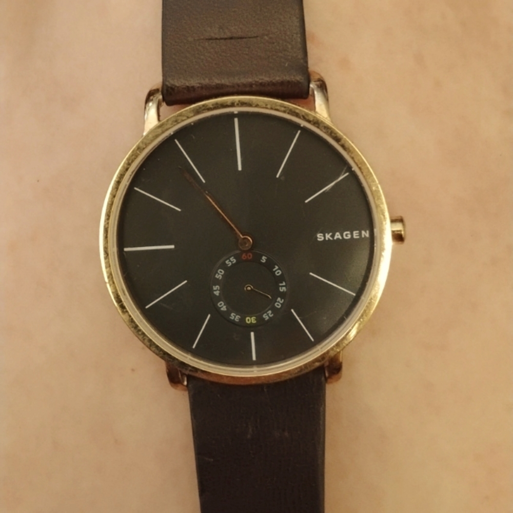 SKAGEN men's watch